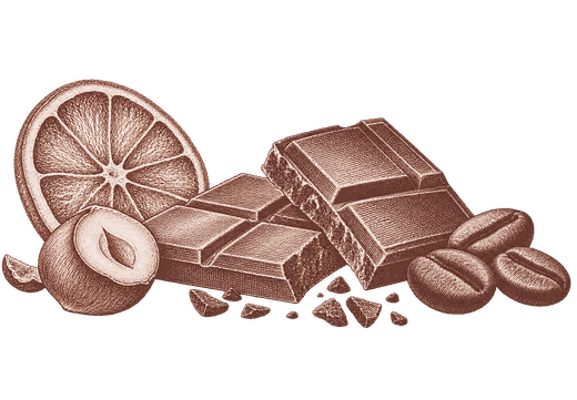 Gravure d’une tablette de chocolat, d’une noisette, d’une tranche d’orange et de fèves de cacao